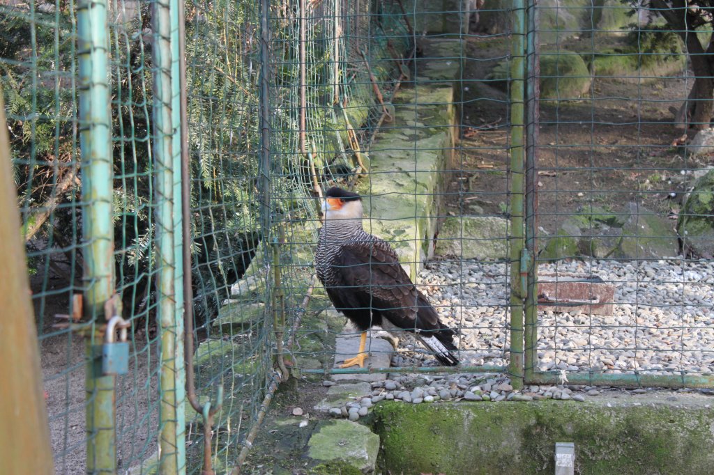 ZOO Ostrava