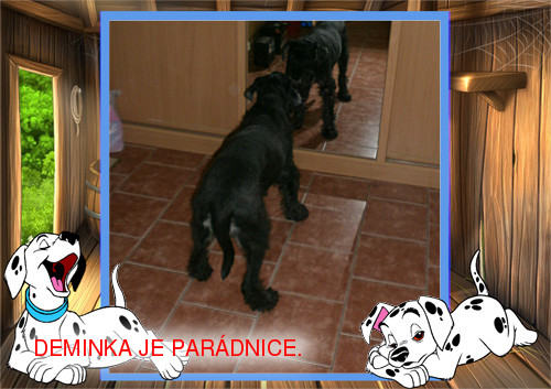 DEMINKA 16LET