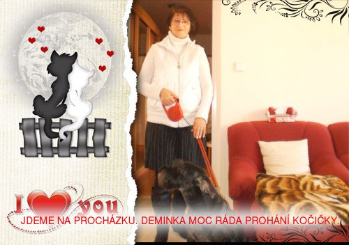 MOJE PĚTAŠEDESÁTINY.