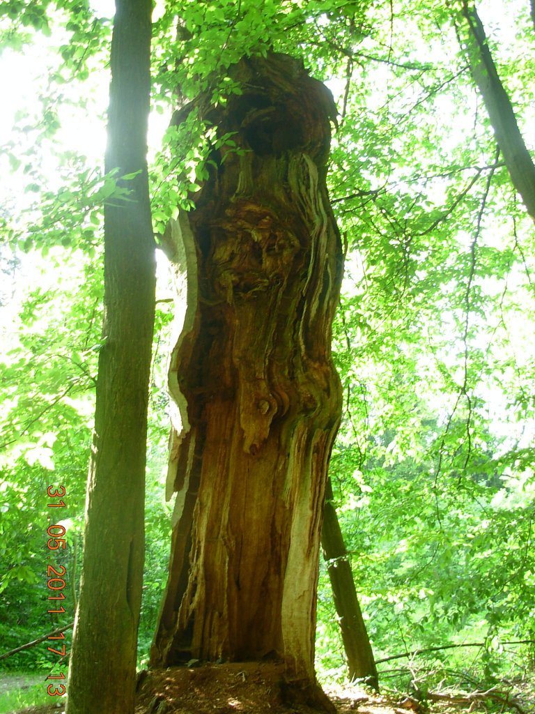 Cesta po ráji,,,,,Českém..