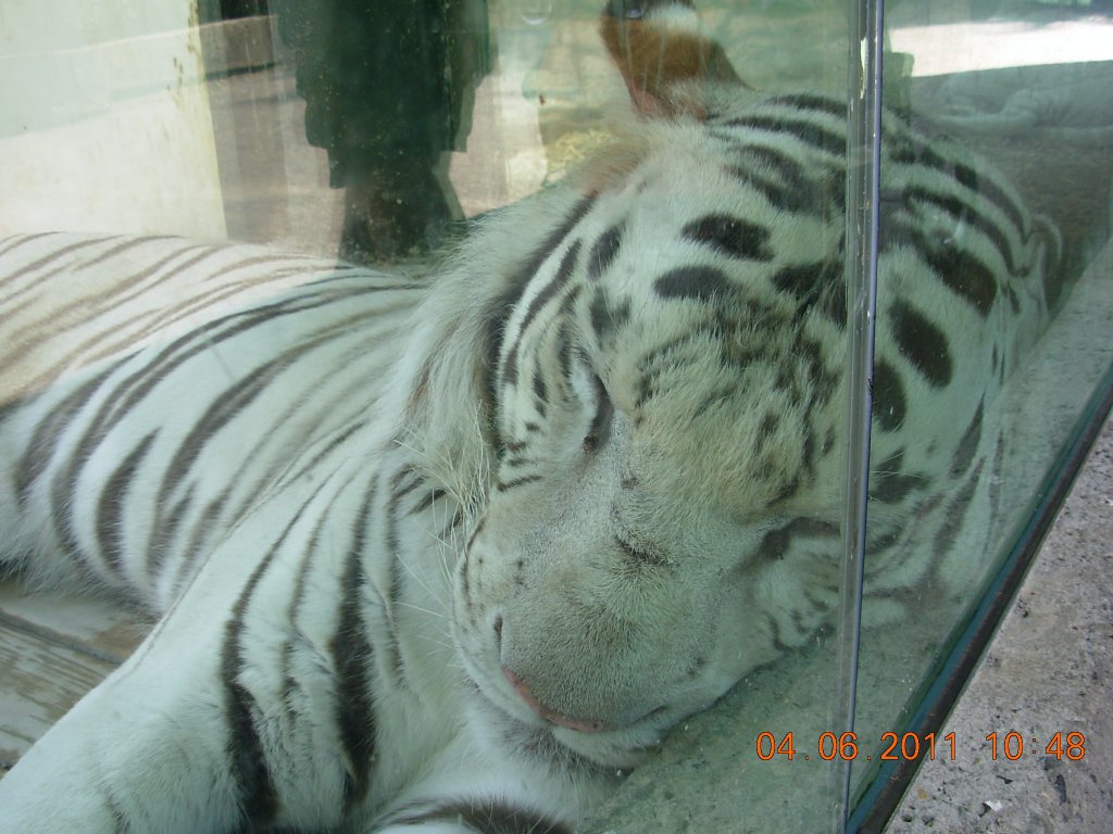 Cesta po ráji,,,,,Českém..