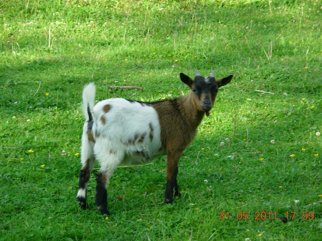 Cesta po ráji,,,,,Českém..