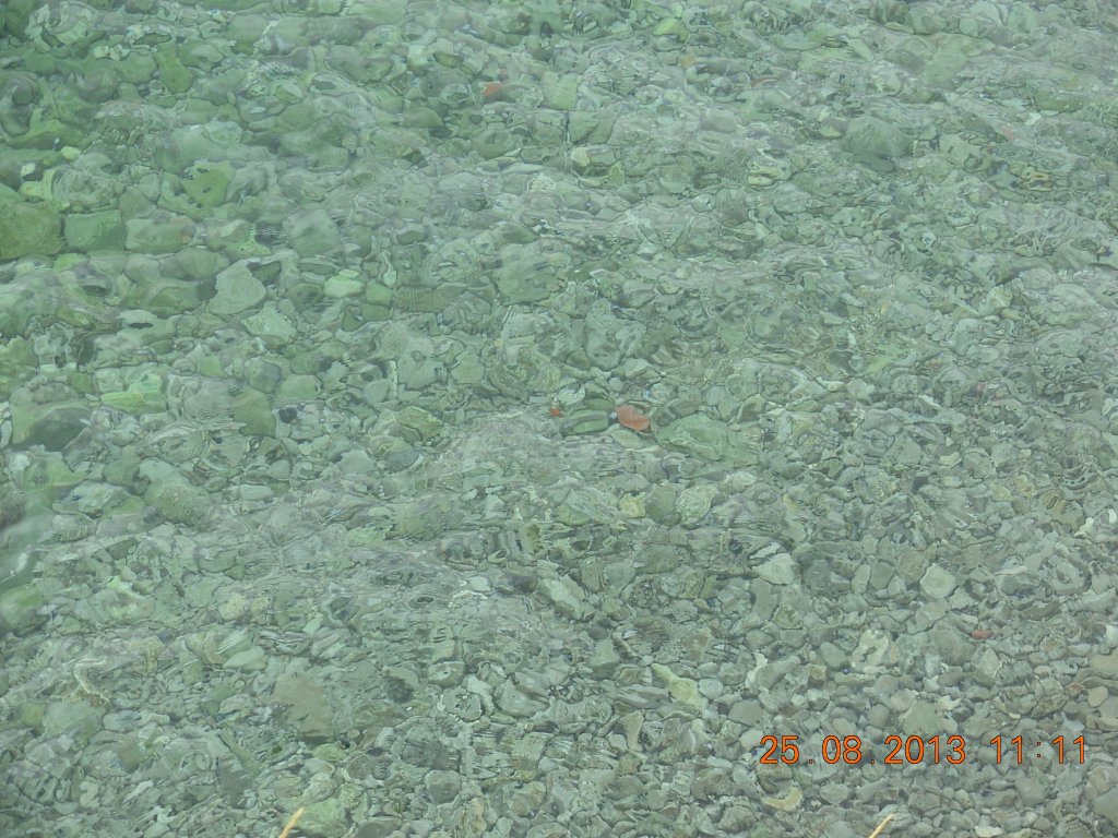 Břeclav, Crekvenice