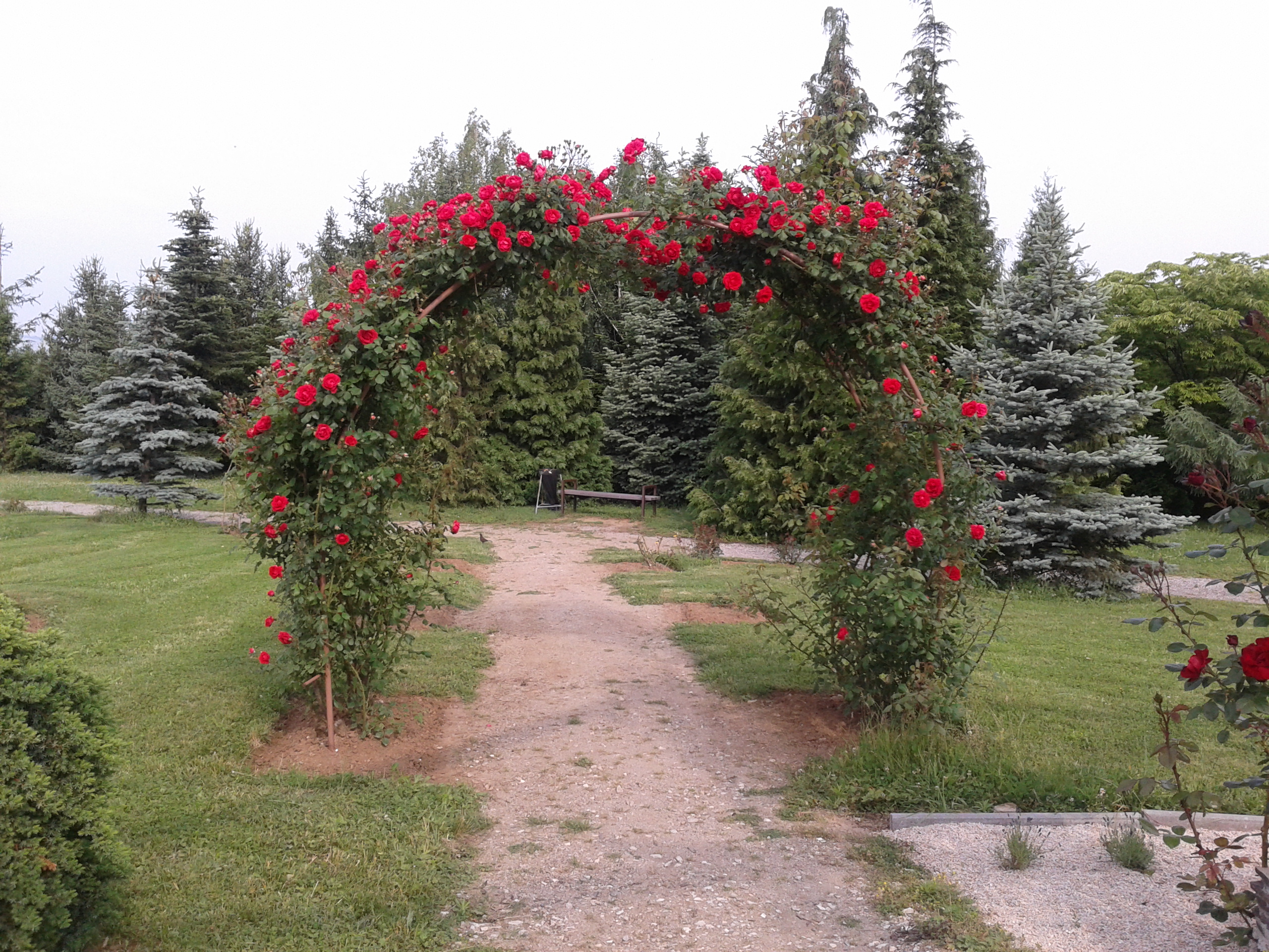 Arboretúm-Mlynany-Vieska nad Žitavov-2.6.2015