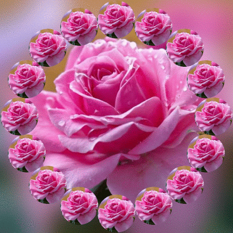 Různé💋 😉🌺