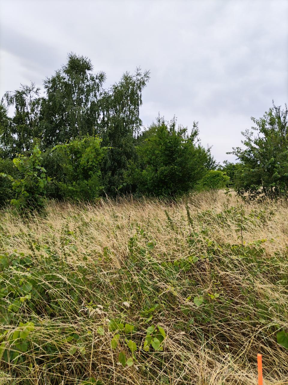 plantáž