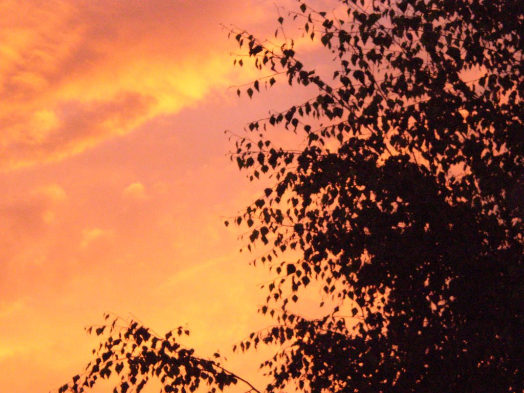 Jeden srpnový den..a další