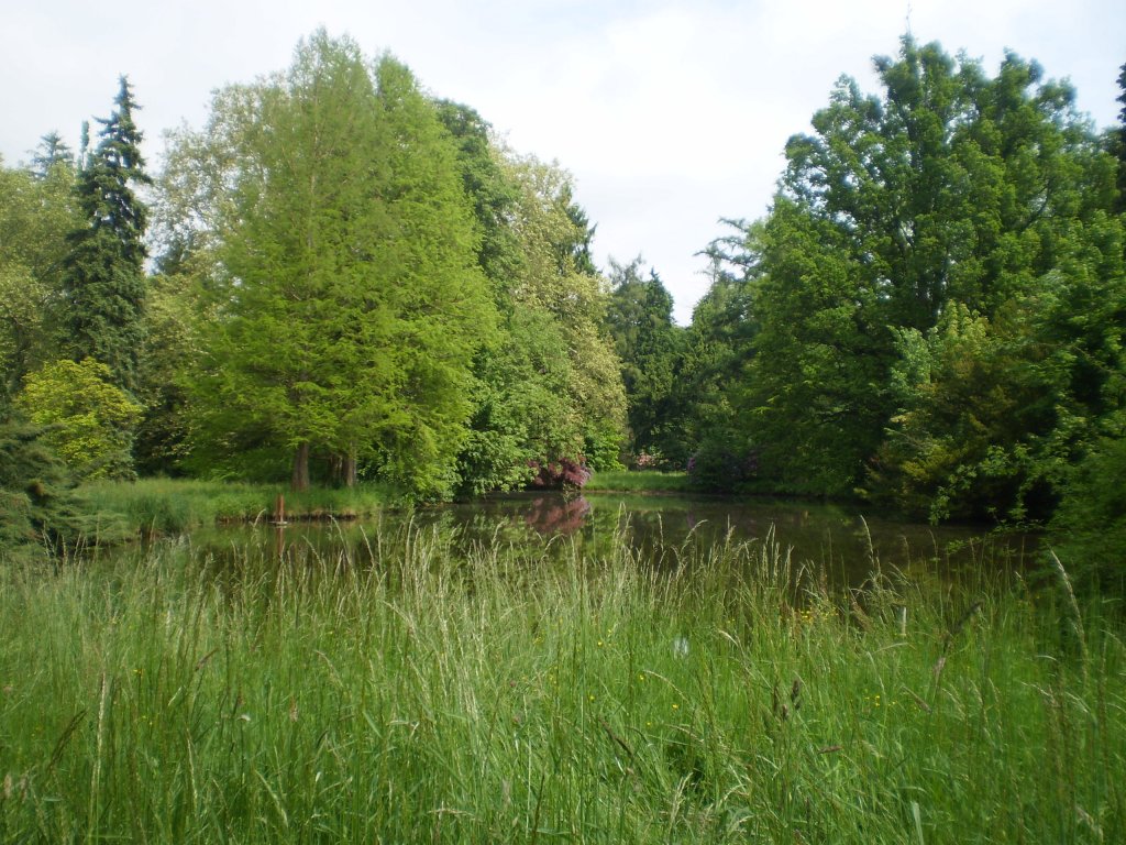 Sraz Žehušice -květen 2010