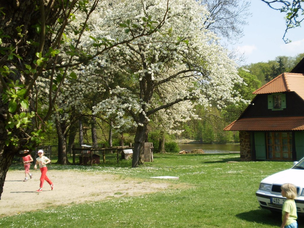 Oáza klidu Emilovna