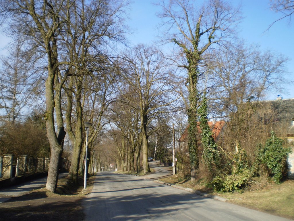 Cestička za zdravím...