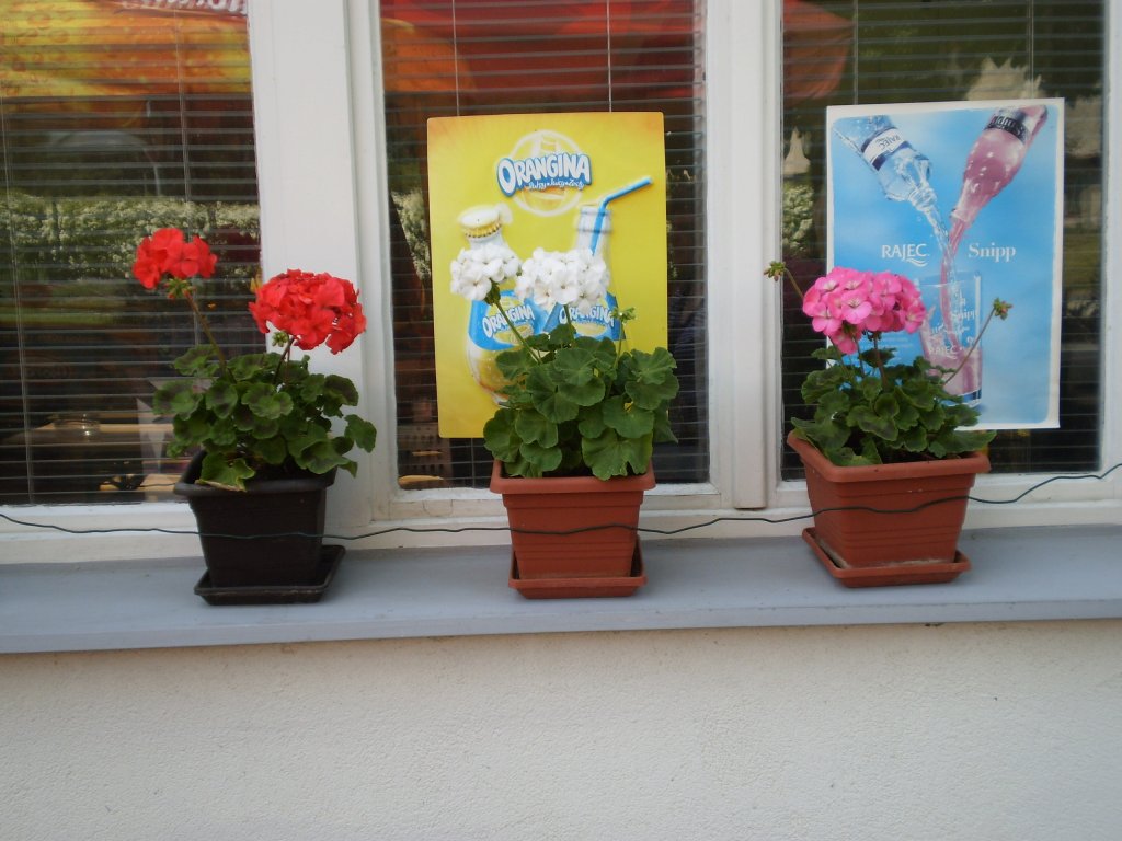 SRAZ 2011- 11.-12.květen