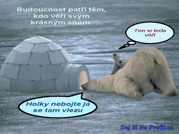 medvídci a jiná zvířátka