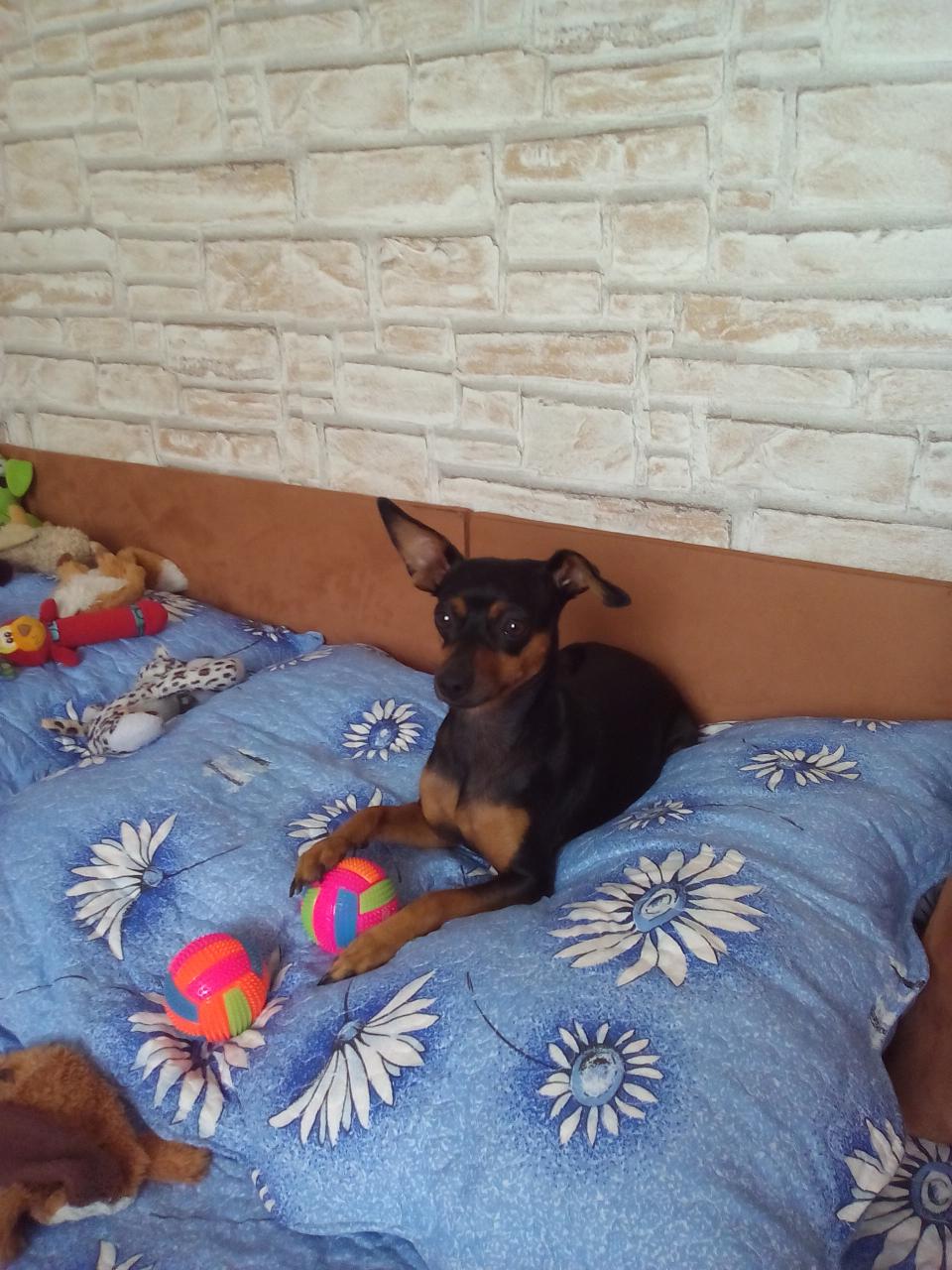 MOJE PRINCEZNA MEGINKA  :-)