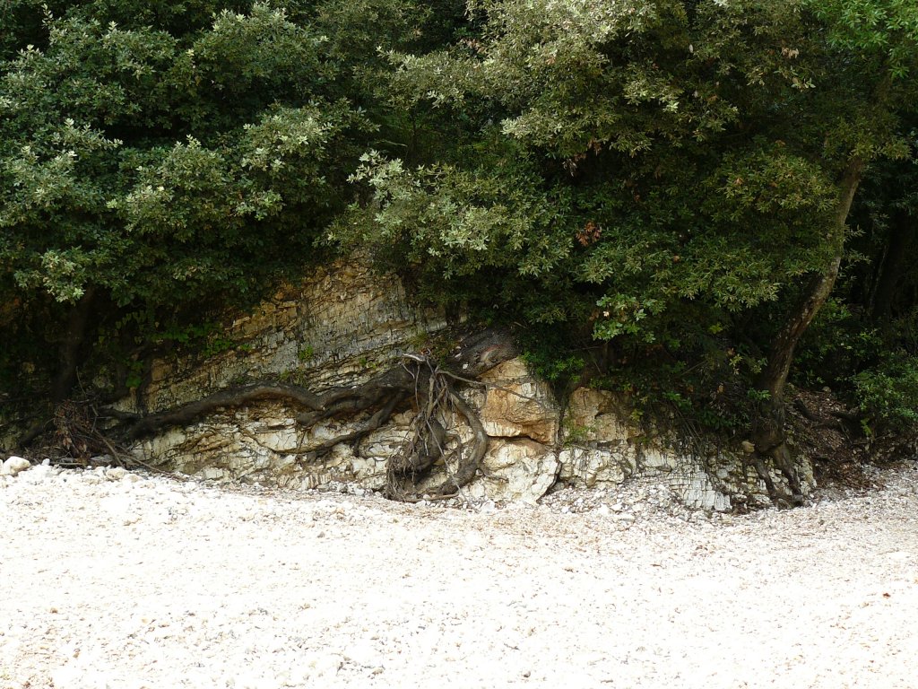 Foresta Umbra 2013-Gargano