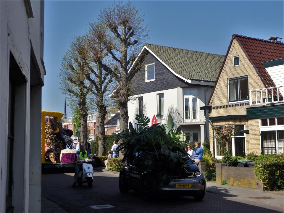 květokrásnodarium..2018 v  Nizozemí