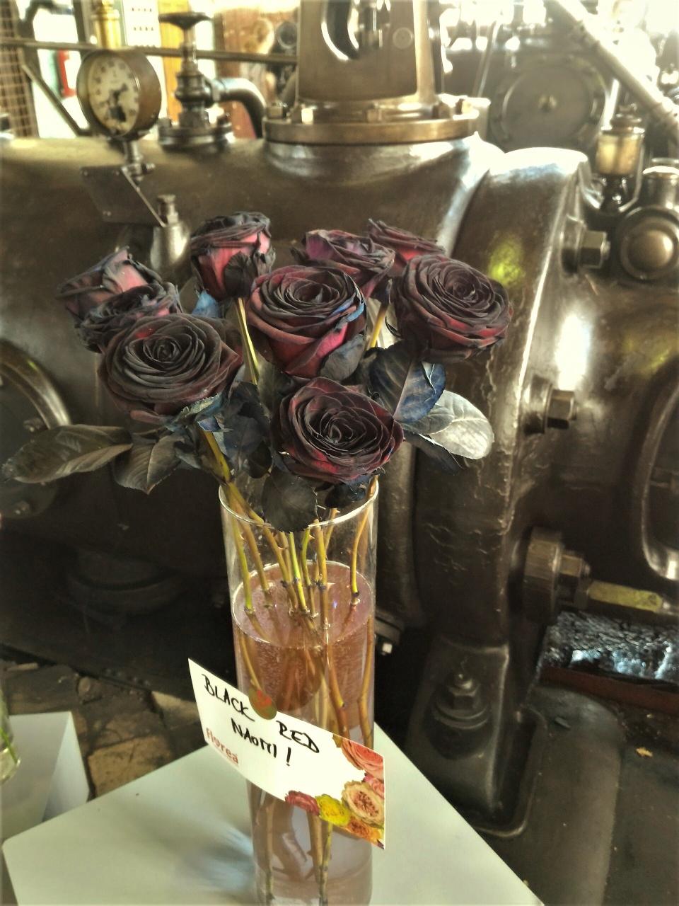 důl Cinger  - ( MICHAL)