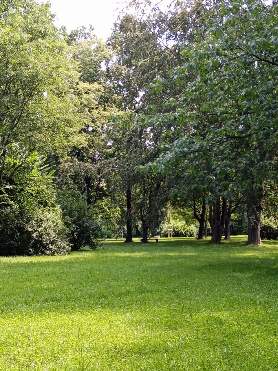 trochu zalít   7m 2020r