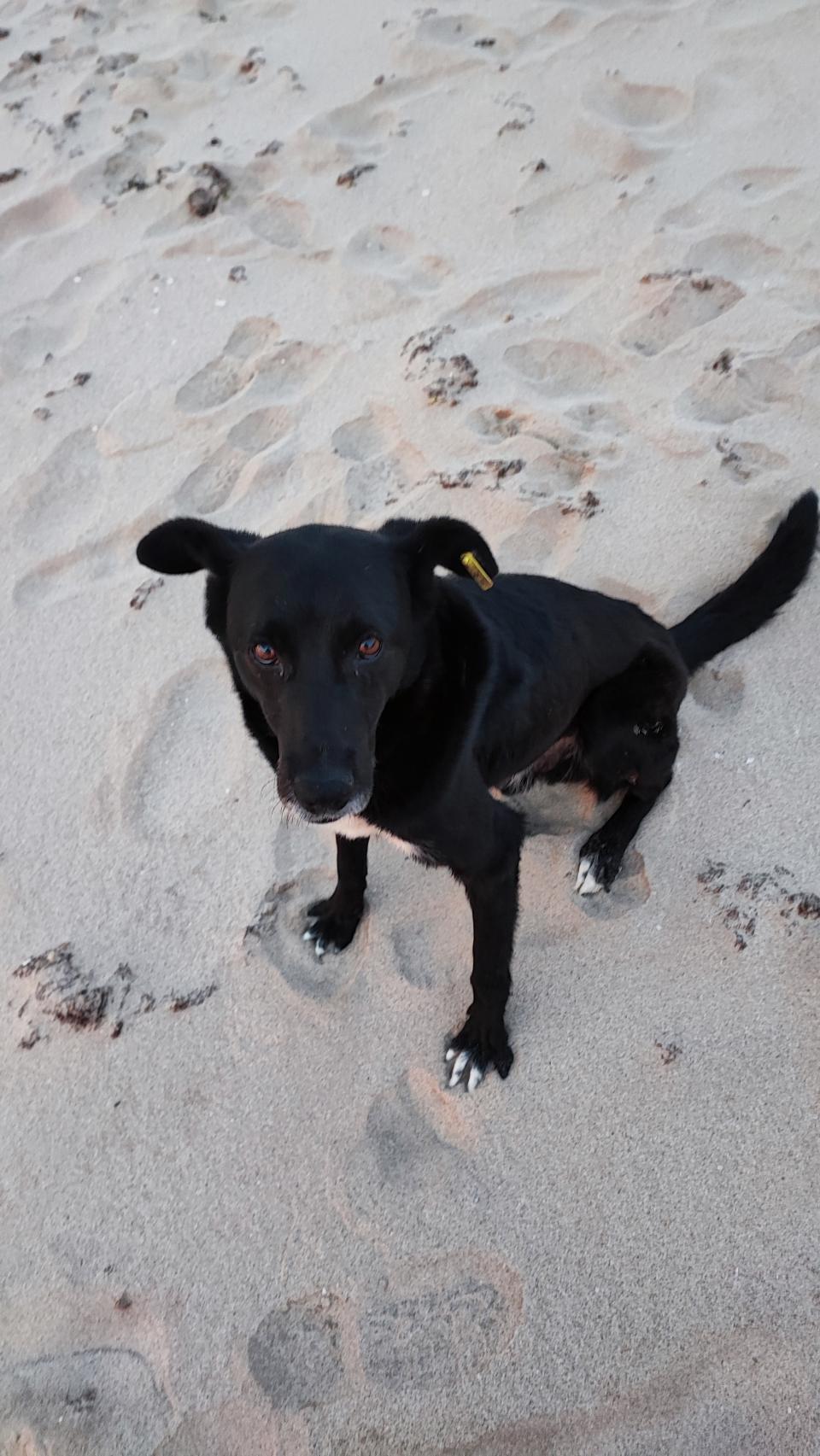 2-  BUL.ALBENA- GERGENA- 22022 ZÁŘÍ