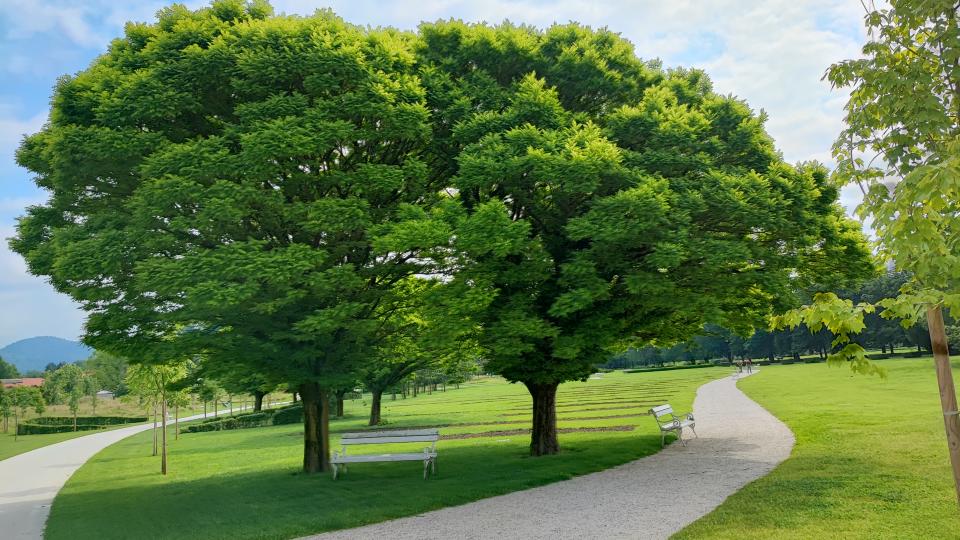 Slovinsko 2023 -Lubjana + Kamník