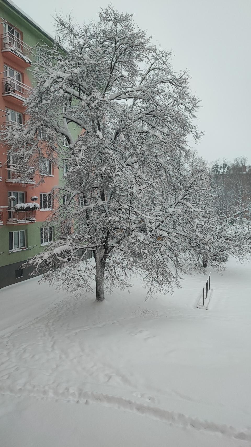 ukázka