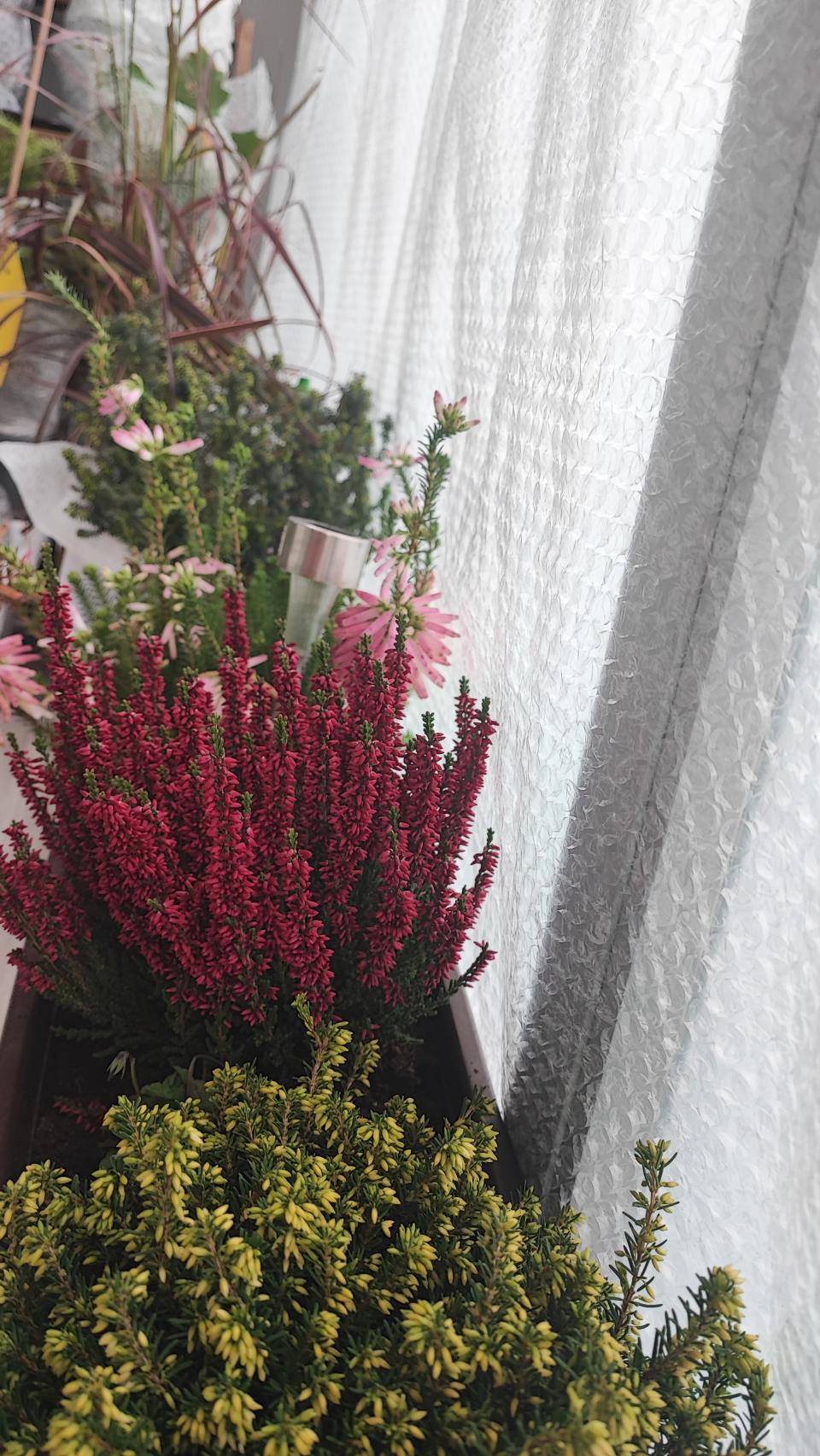 zahrádka jde spát probuzeni  v březnu 2026