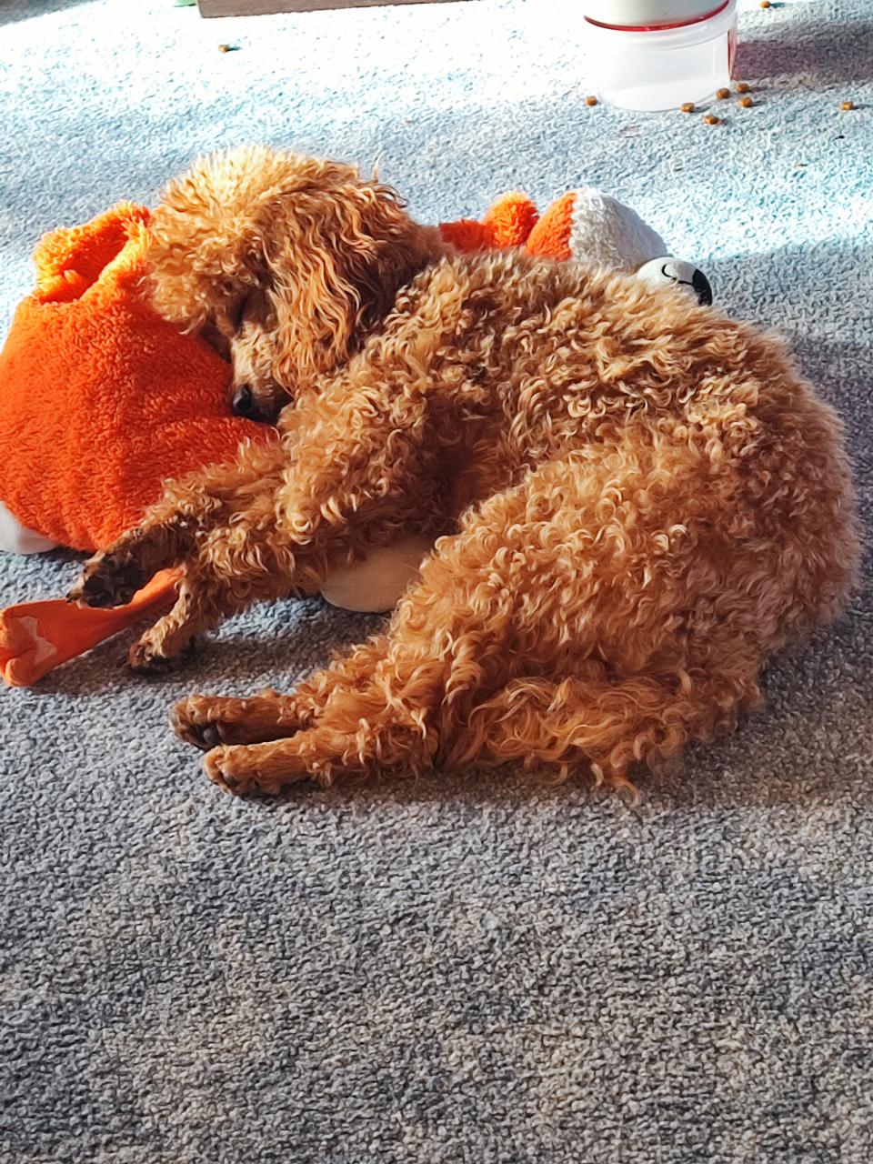 zahrádka jde spát probuzeni  v březnu 2026