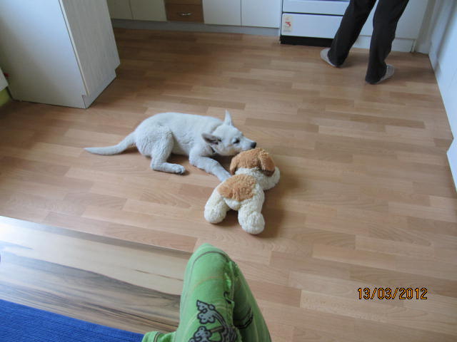 rybarina Můj kamarád