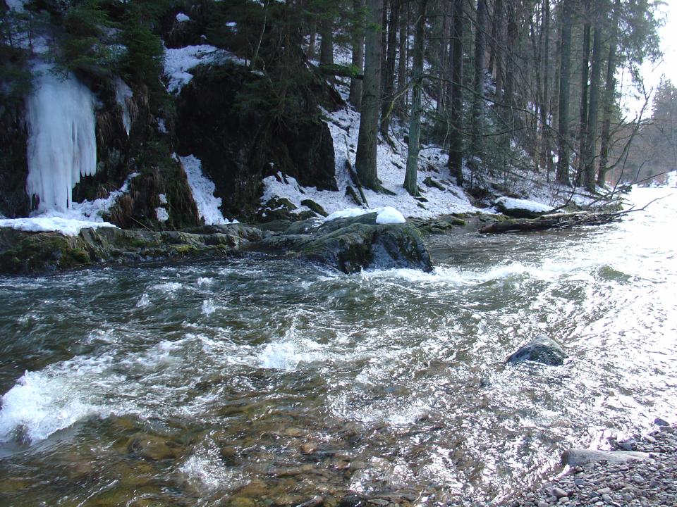 Tania´s treasure 10