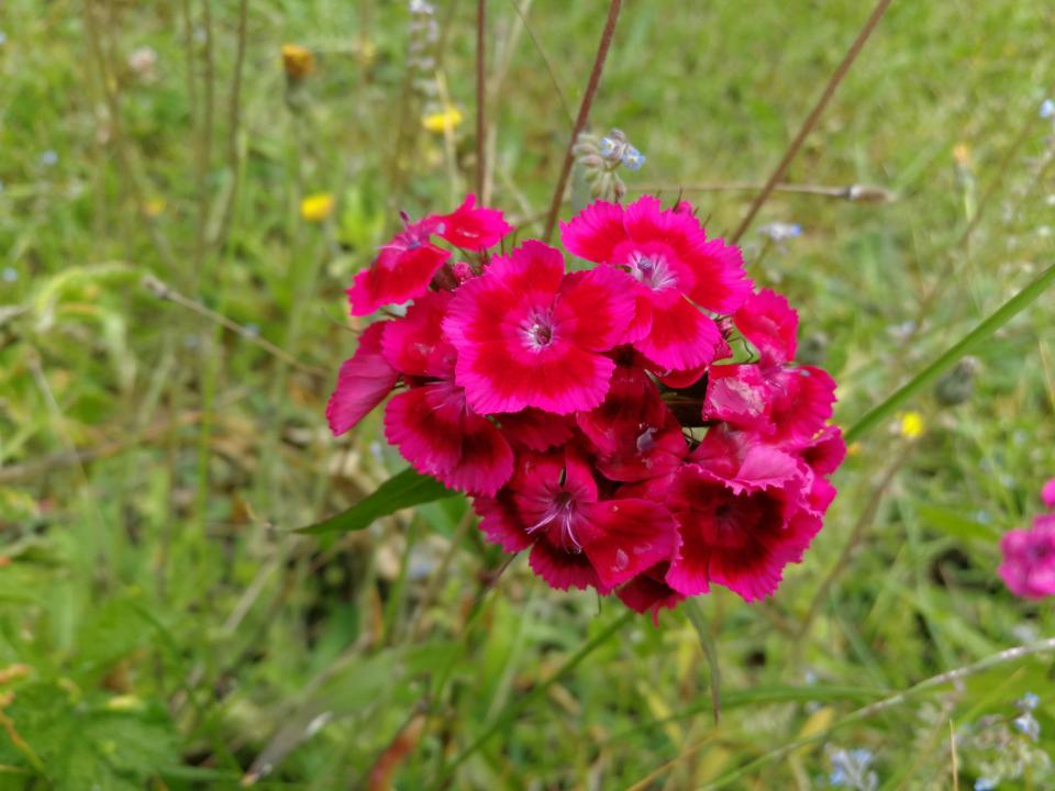 Tania´s treasure 14