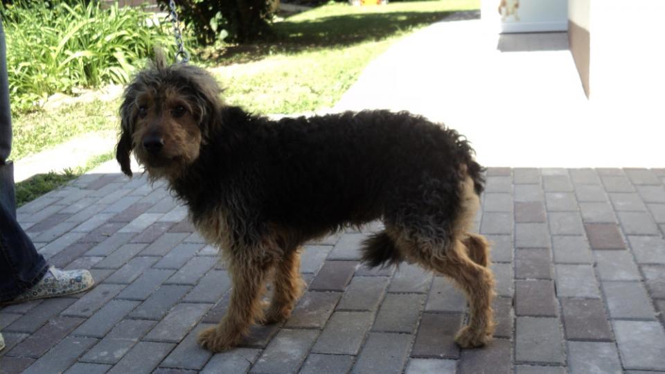 Tania´s treasure 15