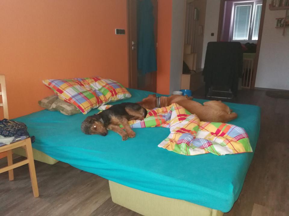 Tania´s treasure 18