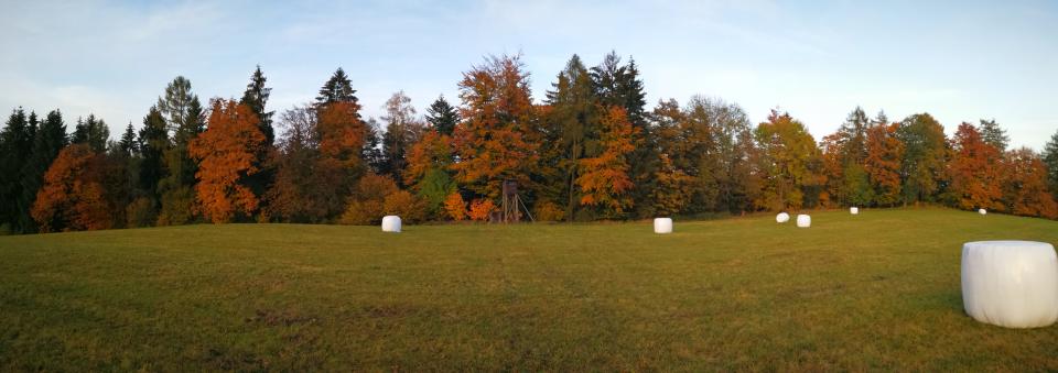 Tania´s treasure 29