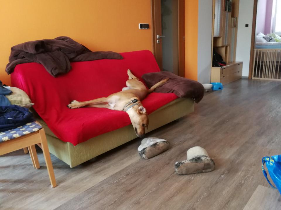 Tania´s treasure 34