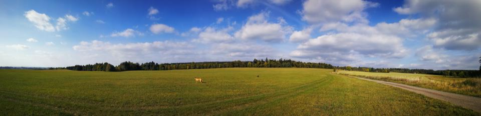 Tania´s treasure 37