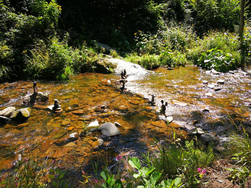 Tania´s treasure 40