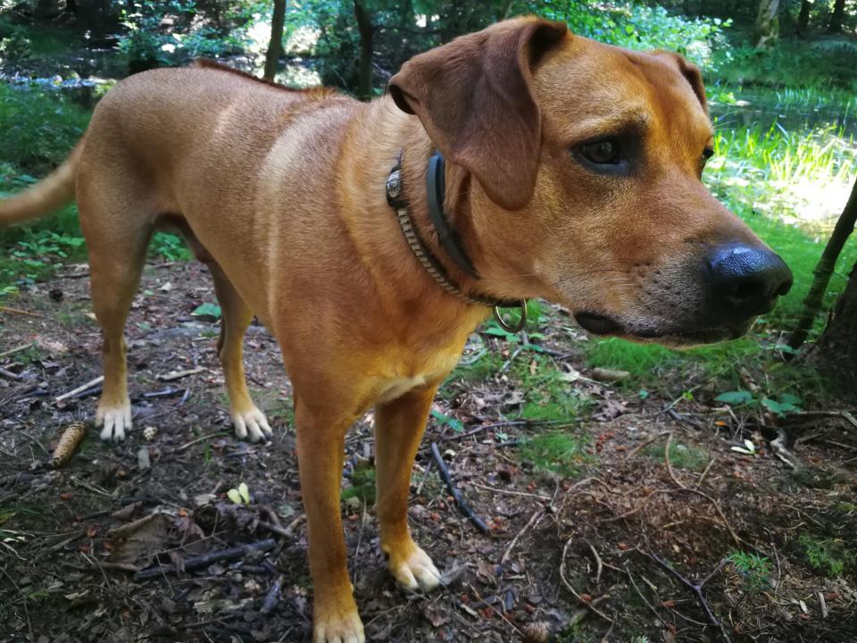 Tania´s treasure 43