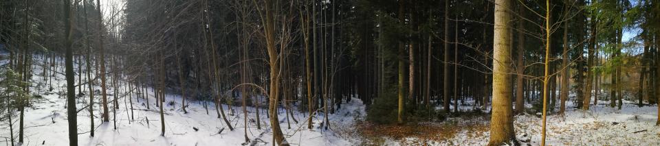 Tania´s treasure 46