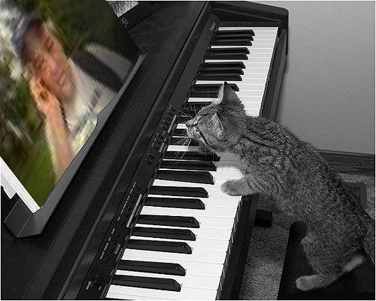 Každé ráno, na piáno, hraje.....