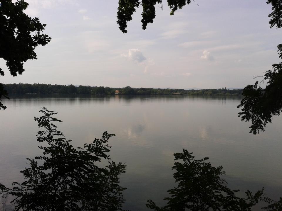 Moje cesty