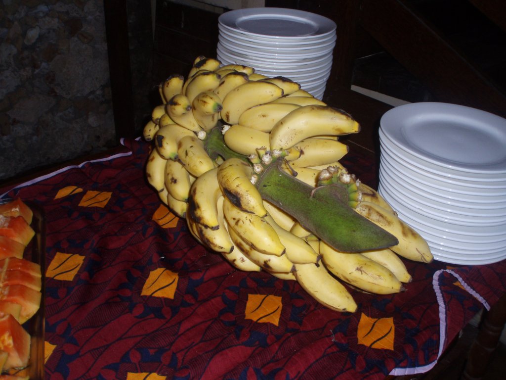 Afrika - Palumbo Reef 2013