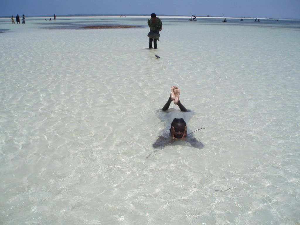Afrika - Palumbo Reef 2013