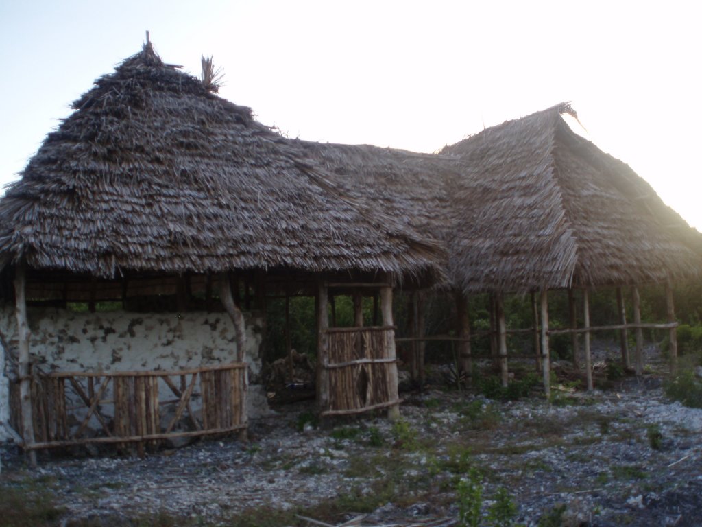 Zanzibar - vesnička Uroa 2
