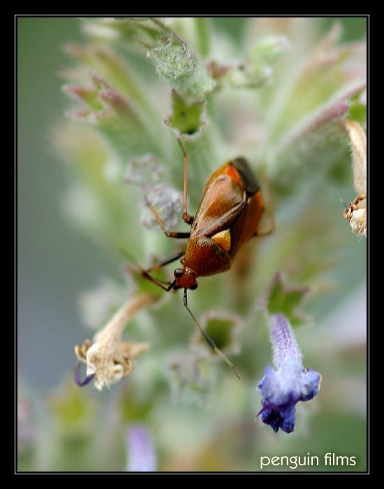 Ti, kdo nesou následky...