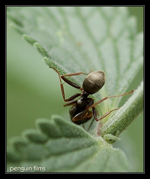 Ti, kdo nesou následky...