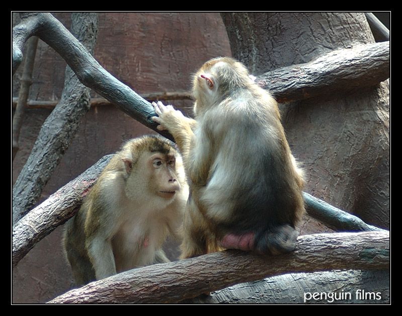 Ti, kdo nesou následky...