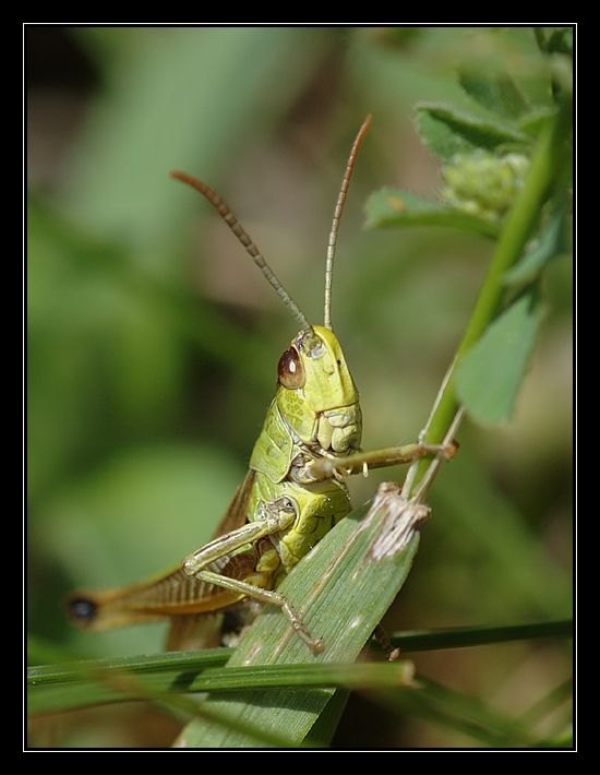 Ti, kdo nesou následky...