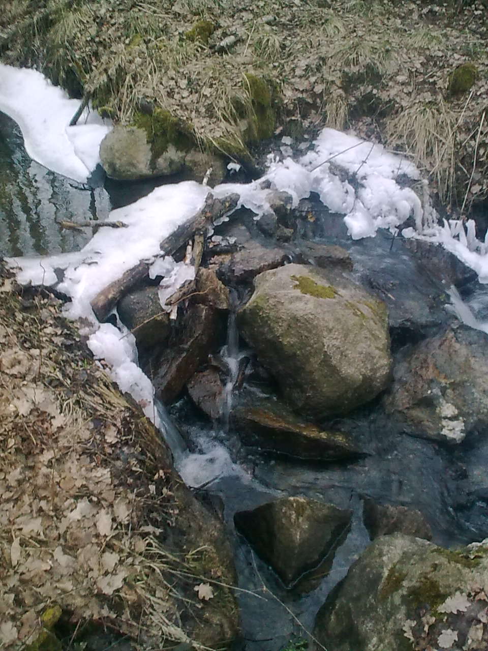 priroda loučky u Lokte