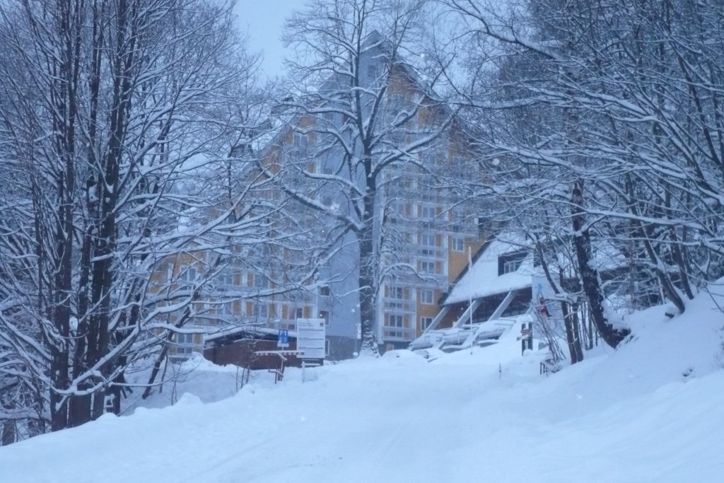 špindl silvestr NICO
