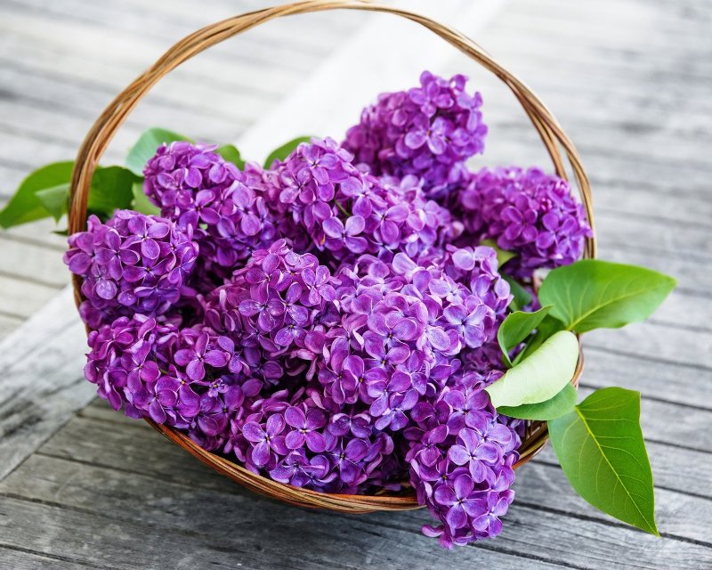 ...pohlazení na duši 8...