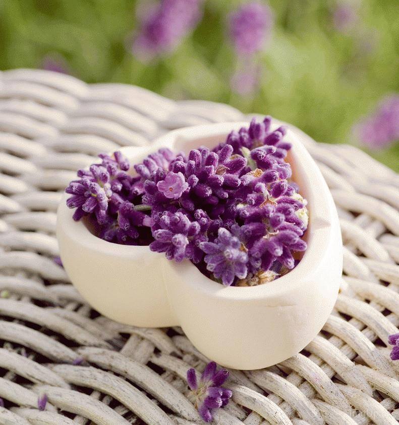 ...pohlazení na duši 8...